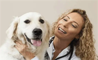 为什么狗狗得了血栓呢