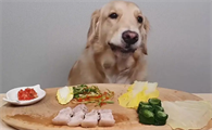 狗为什么要吃烤熟的