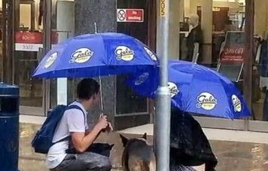 可怜小狗雨中发抖 善良人脱外衣为狗遮雨