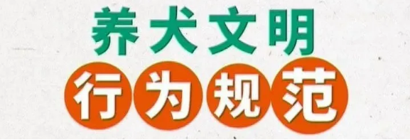 鹤壁养犬人士速看！即日起集中整治！