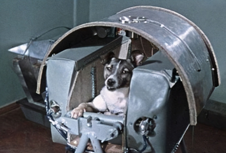 63年前，一条狗被人类送入太空，被称为英雄的它，“结局如何”？