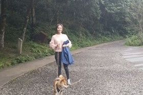 柴犬半路跳车乱入棒球场 主人看了当场傻眼