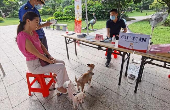 遛个弯就能办犬牌、打疫苗！文明养犬“一站式”服务进丹灶小区