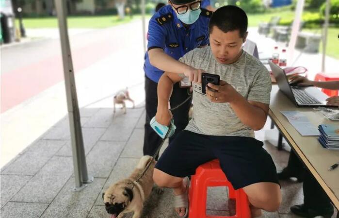 遛个弯就能办犬牌、打疫苗！文明养犬“一站式”服务进丹灶小区