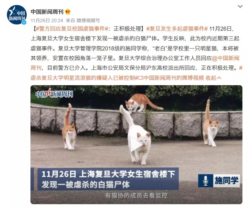 咬人的狗，被杀的猫，背后都是什么人？ 