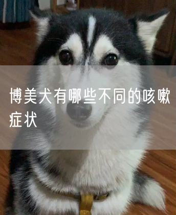 博美犬有哪些不同的咳嗽症状