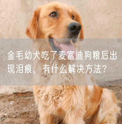 金毛幼犬吃了麦富迪狗粮后出现泪痕，有什么解决方法？