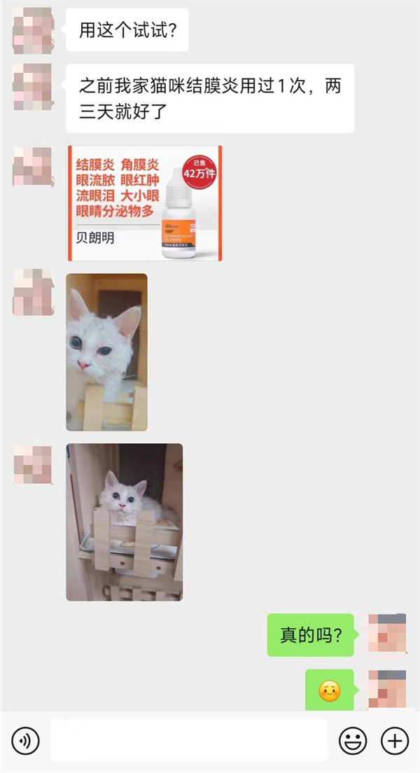 猫结膜炎用什么药？