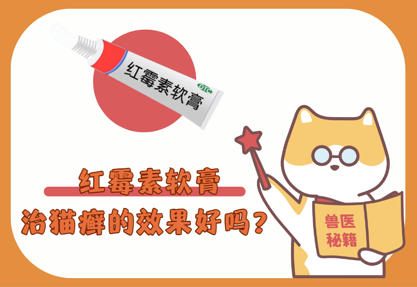 红霉素软膏治疗猫癣的效果好吗？